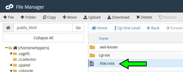 cPanel file manager select file