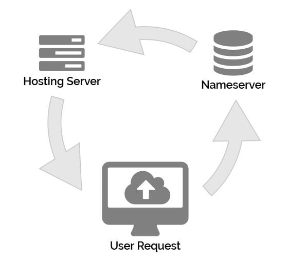 DNS Graphic