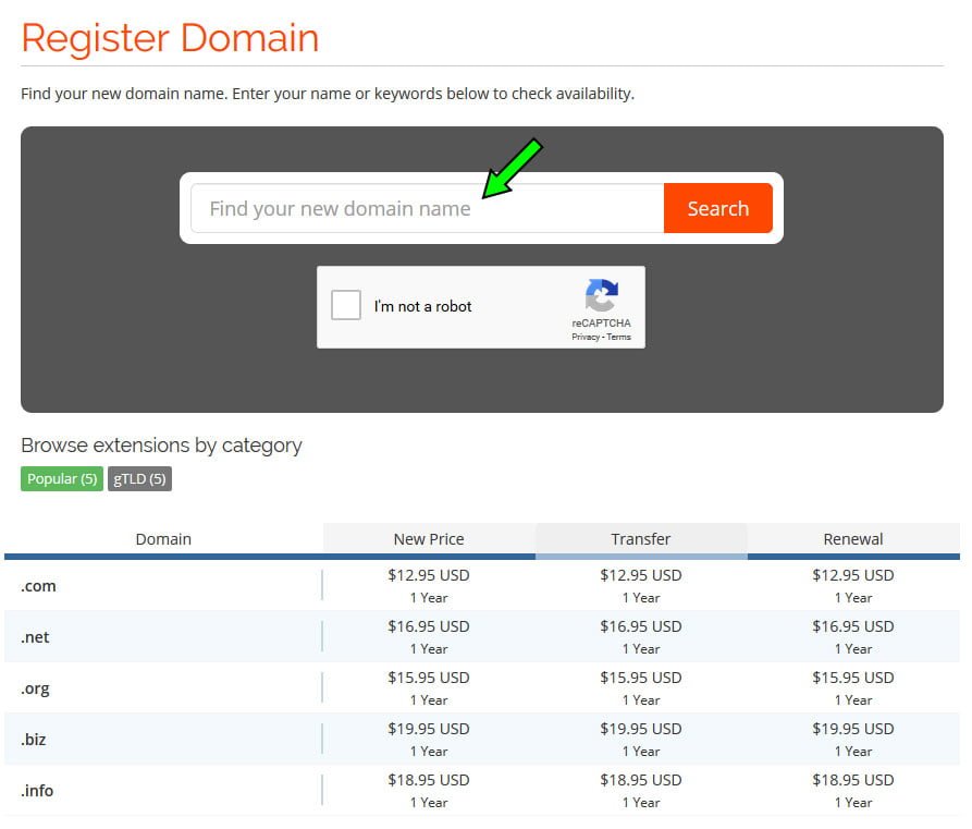 Domain Registration Form